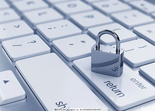 美國(guó)網(wǎng)絡(luò)安全專業(yè) 聚焦網(wǎng)絡(luò)與信息安全軟件開(kāi)發(fā)，解析未來(lái)就業(yè)前景