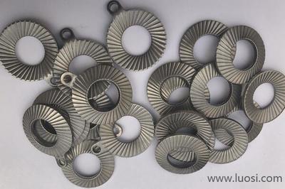 領(lǐng)導(dǎo)關(guān)懷促發(fā)展 廣東省委、陽江市委領(lǐng)導(dǎo)蒞臨史特牢金屬緊固件摩托車項目考察指導(dǎo)